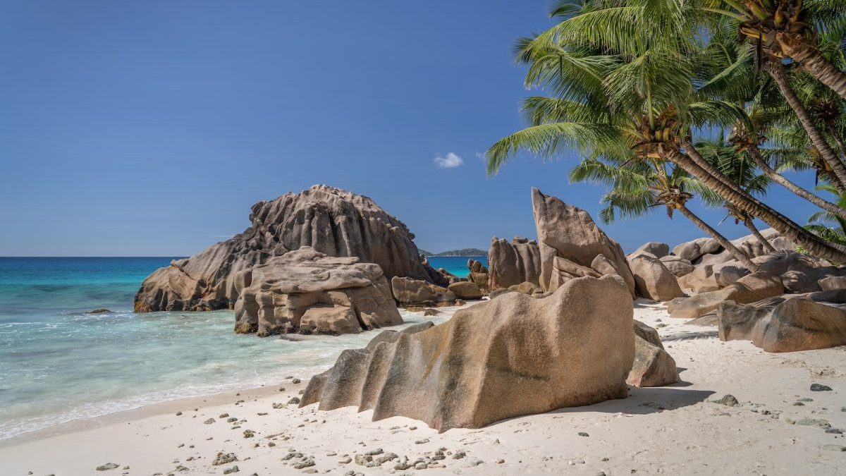 Organiser croisière Seychelles avec copines